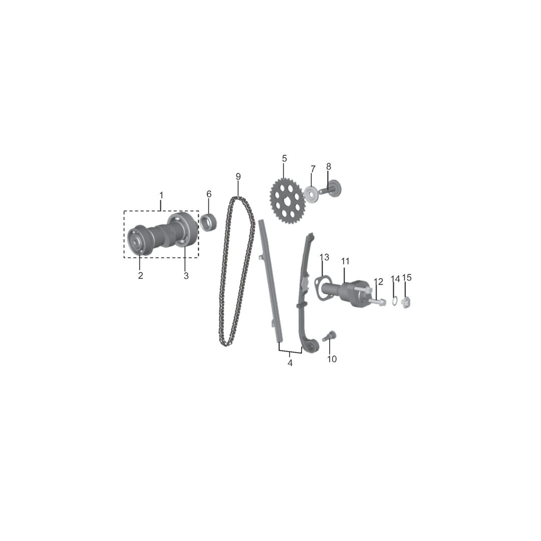 Eje De Levas Tensor Cadenilla