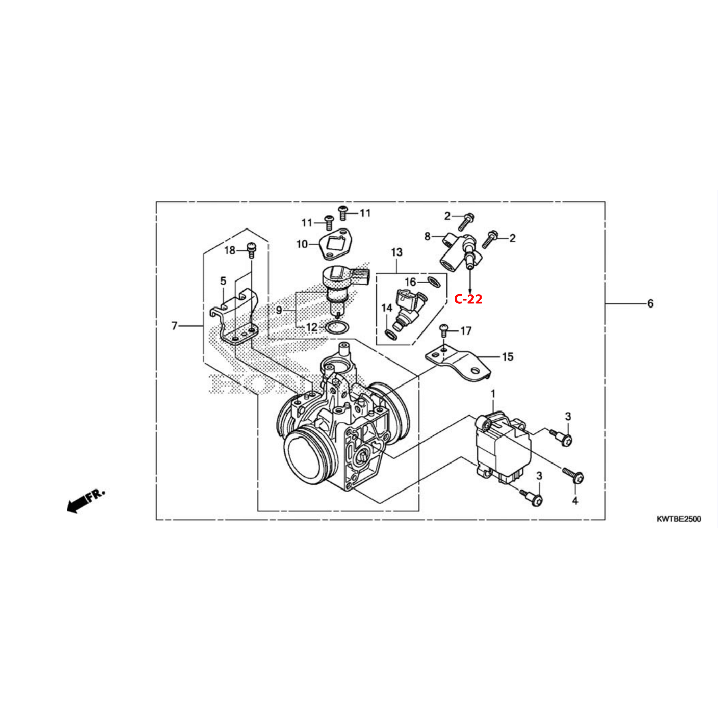 Cuerpo del Acelerador