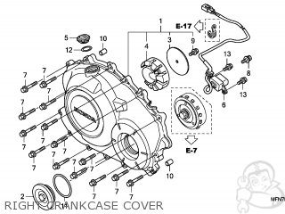 RIGHT CRANKCASE COVER