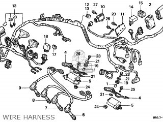 WIRE HARNESS