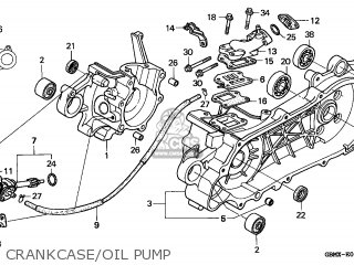 CRANKCASE/OIL PUMP
