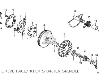 DRIVE FACE/ KICK STARTER SPINDLE