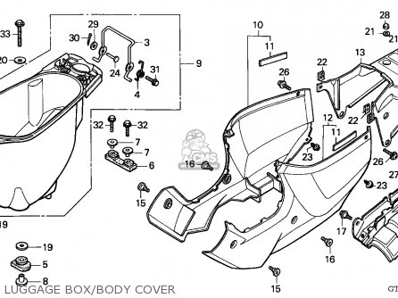 LUGGAGE BOX/BODY COVER