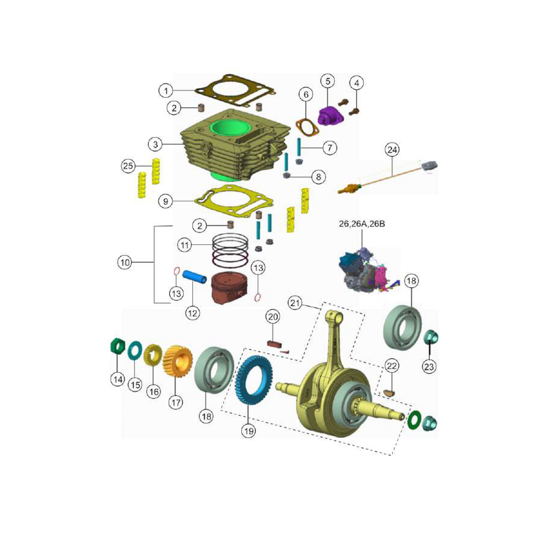 Cilindro Piston Ciguenal