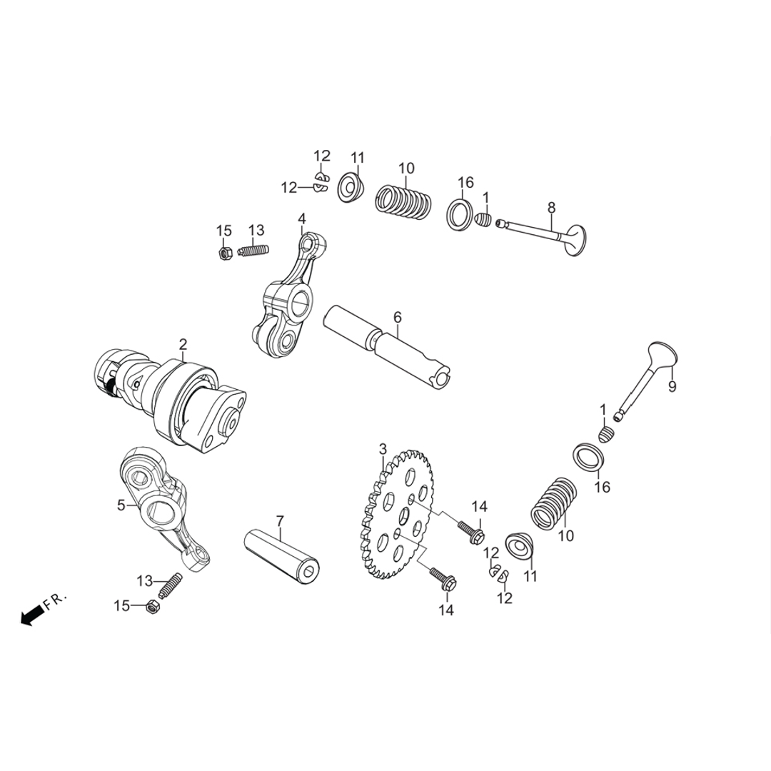 Arbol de leva / valvula