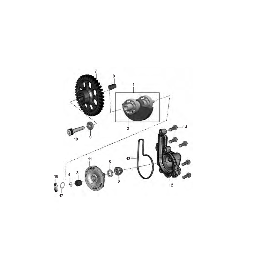 Bomba De Agua Pinon Balanceador