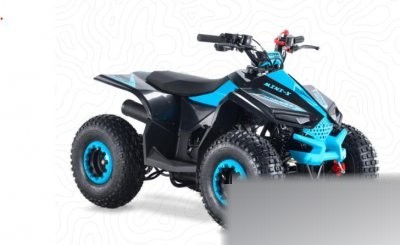 Mini X 110