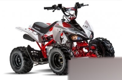 MiniSport 110
