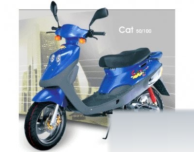 Cat 100