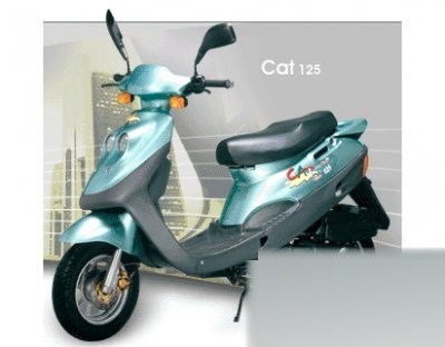 Cat 125 B