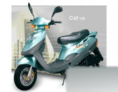 Cat 125S