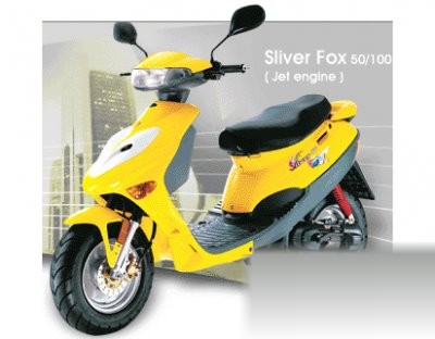 Silver Fox 50