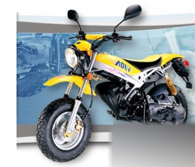 Thunder Bike 100