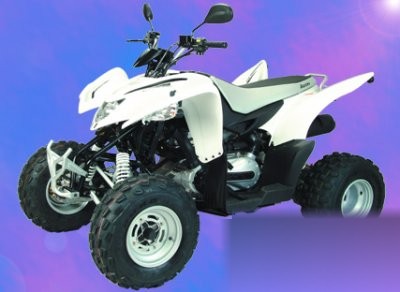 Cobra 320