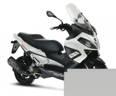 SR Max 300