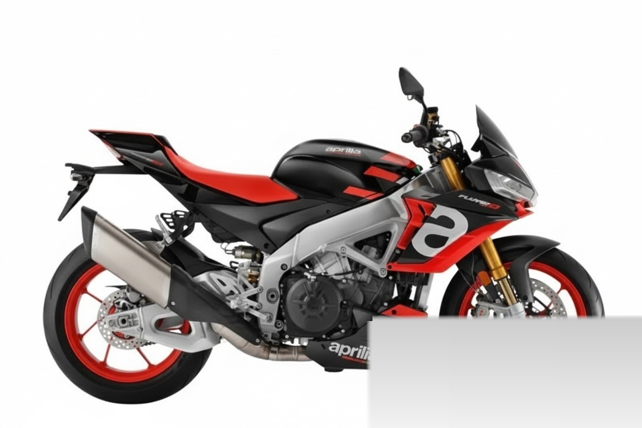 Tuono V4 1100 Factory