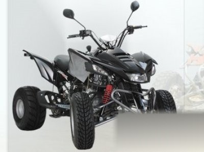 APO 300