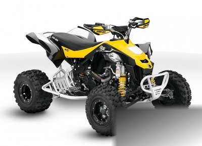 Can-Am DS 450 EFI X xc