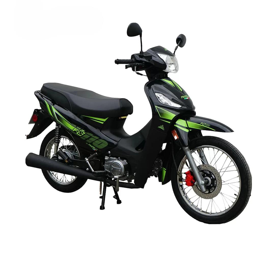 FS 110
