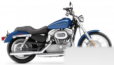 Harley-Davidson XL 883 C Sportster Custom