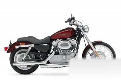 Harley-Davidson XL883C Sportster