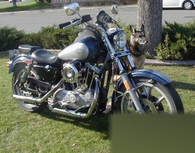 Harley-Davidson XLS 1000 Roadster