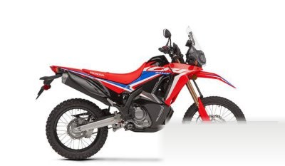 CRF300L Rally