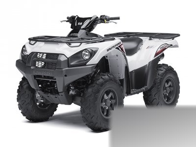 Brute Force  750 4x4i