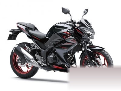 Z250 Special Edition