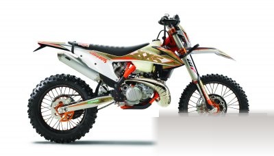 300 EXC TPI Erzbergrodeo