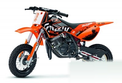 Grizzly RCX 10