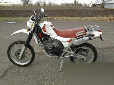 Morini 501 Camel