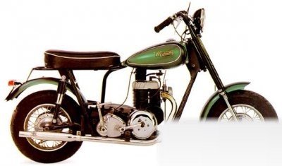 Thoroughbred