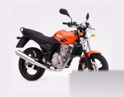 RT-Striker