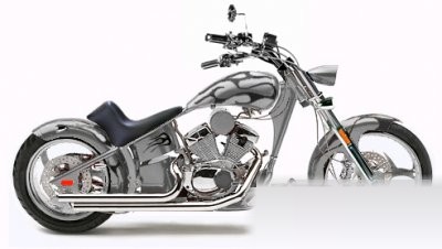 Hunter Softail