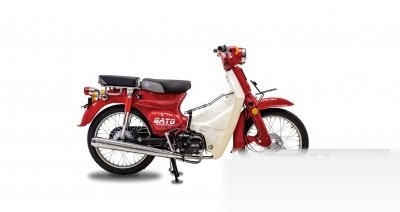 Gato Supercub 110
