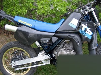 TS 250 X