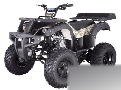 Motor Rhino 250