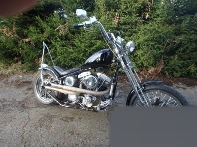 Von Zipper Bobber