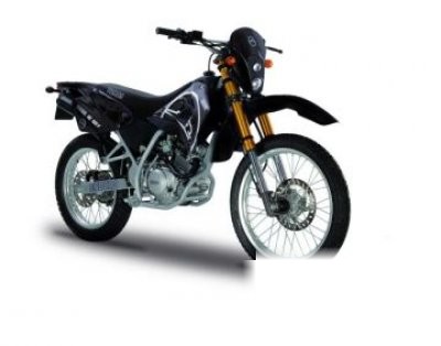 SM 125 Replica Cup