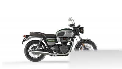 Bonneville T100 Gold Line