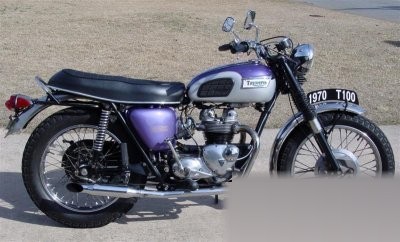 Tiger 100