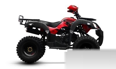 Reptile 150