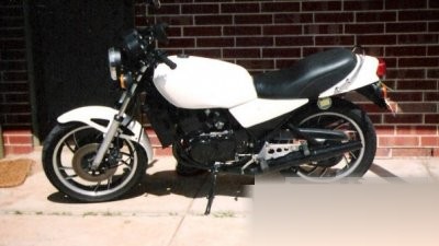 1981