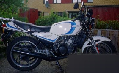 1981
