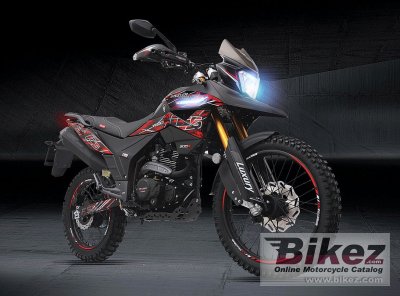 Steeler Touring Pro XR300