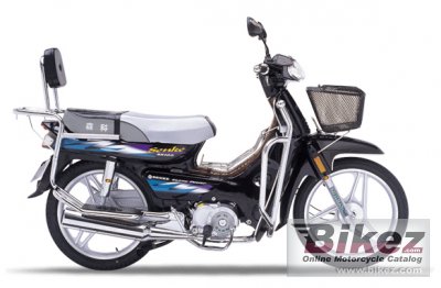 SK100