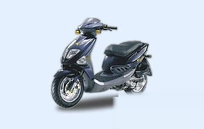 T-REX 125