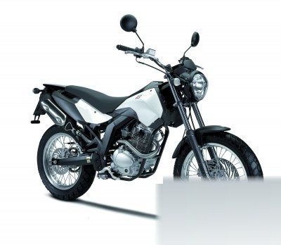 Cross City 125
