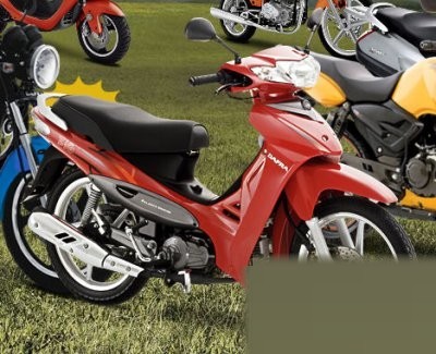 Zig Cub 100